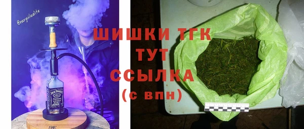 СК Касимов