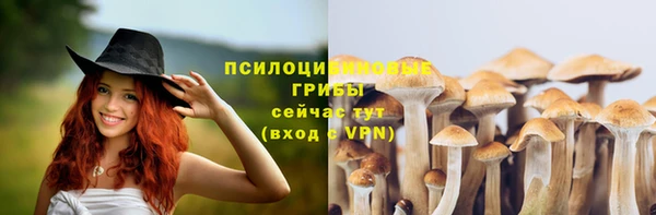 PSILOCYBIN Карпинск