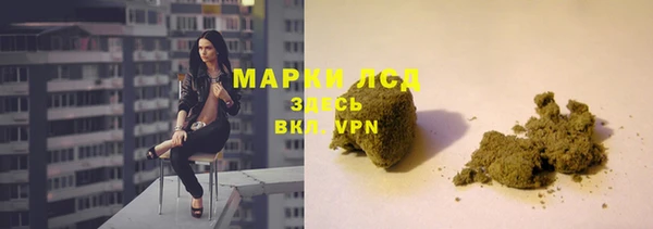 PSILOCYBIN Карпинск