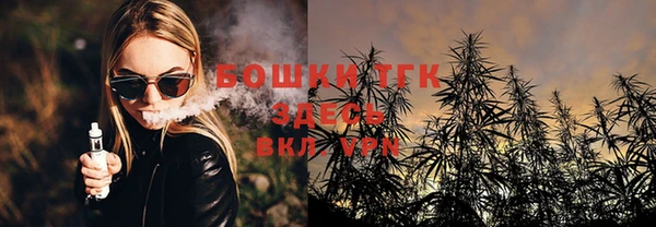 PSILOCYBIN Карпинск